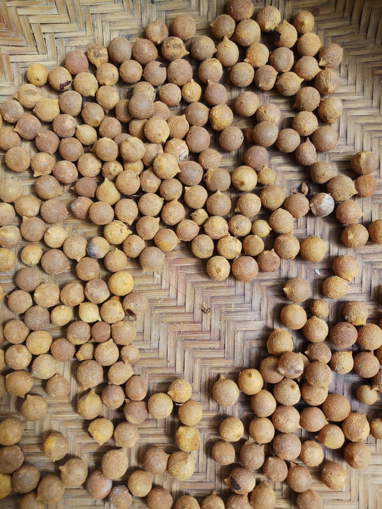 how many per kilos ?  i saw bismarckia nobilis seed as 60-70 per kilos it seems they are different