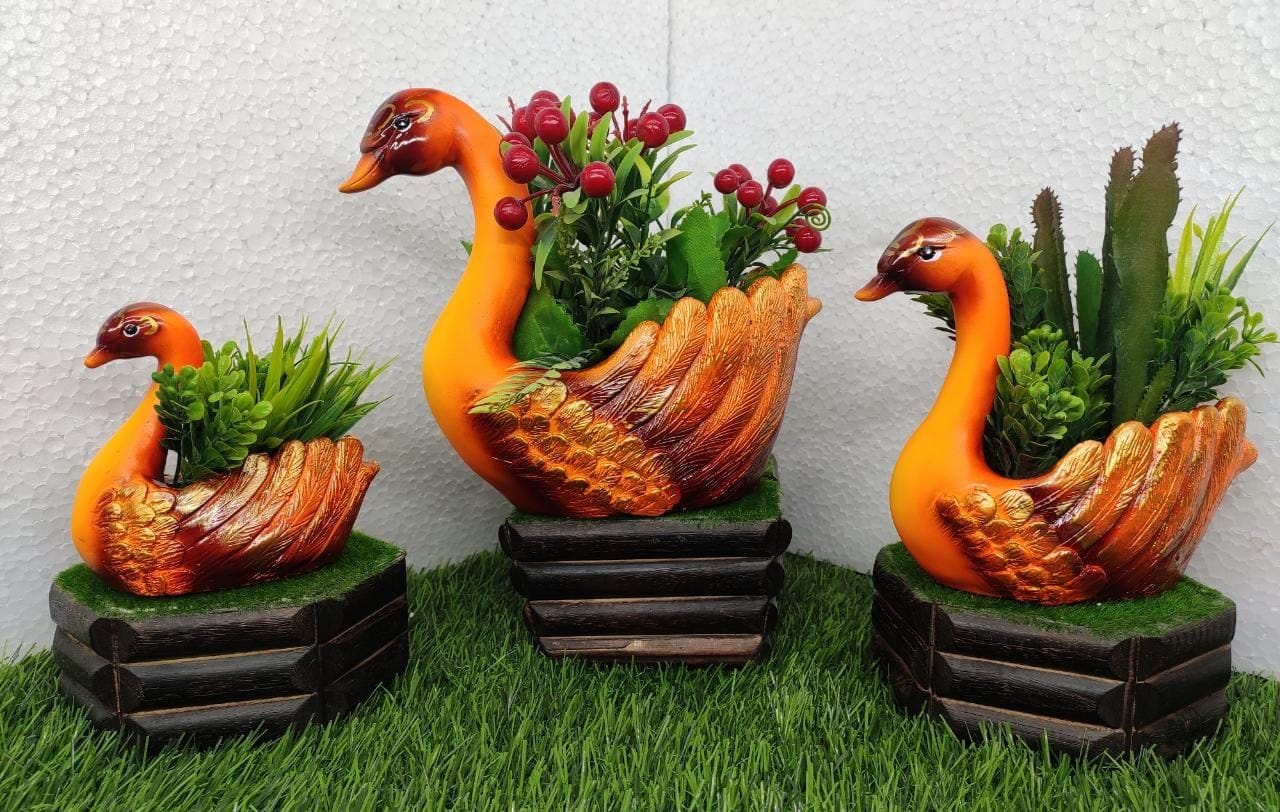Buy Polyresin Duck Planter - Set of 3 Questions & Answers