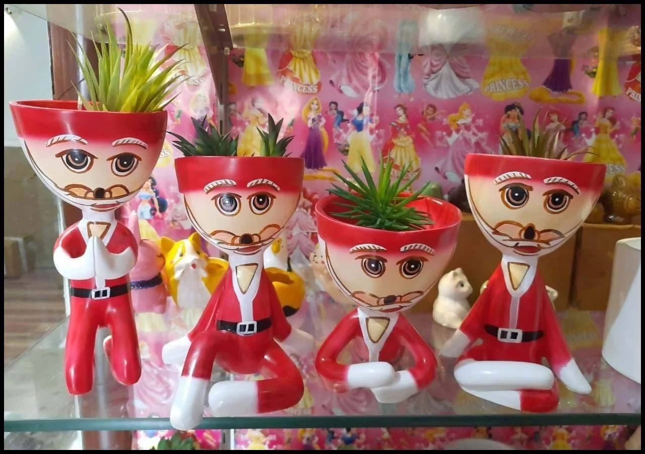 what kind of plants it is?